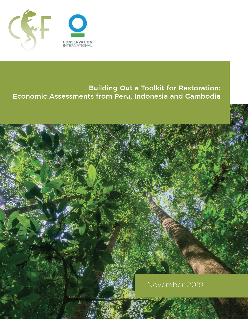 Indonesia | Conservation Strategy Fund